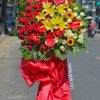 ke-hoa-khai-truong