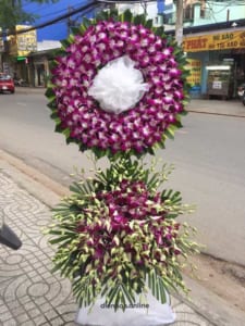 ke-hoa-chia-buon-loi-tien-biet-120321